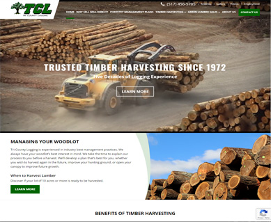 Website Portfolio Wisconsin